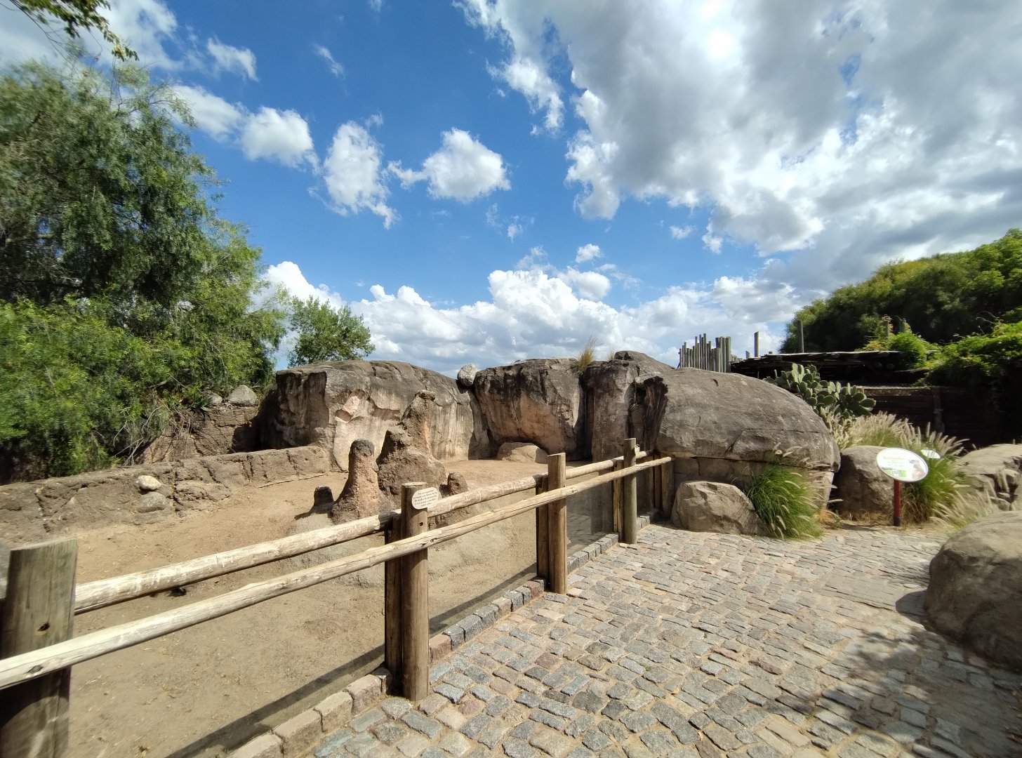 Meerkat exhibit - Temaiken