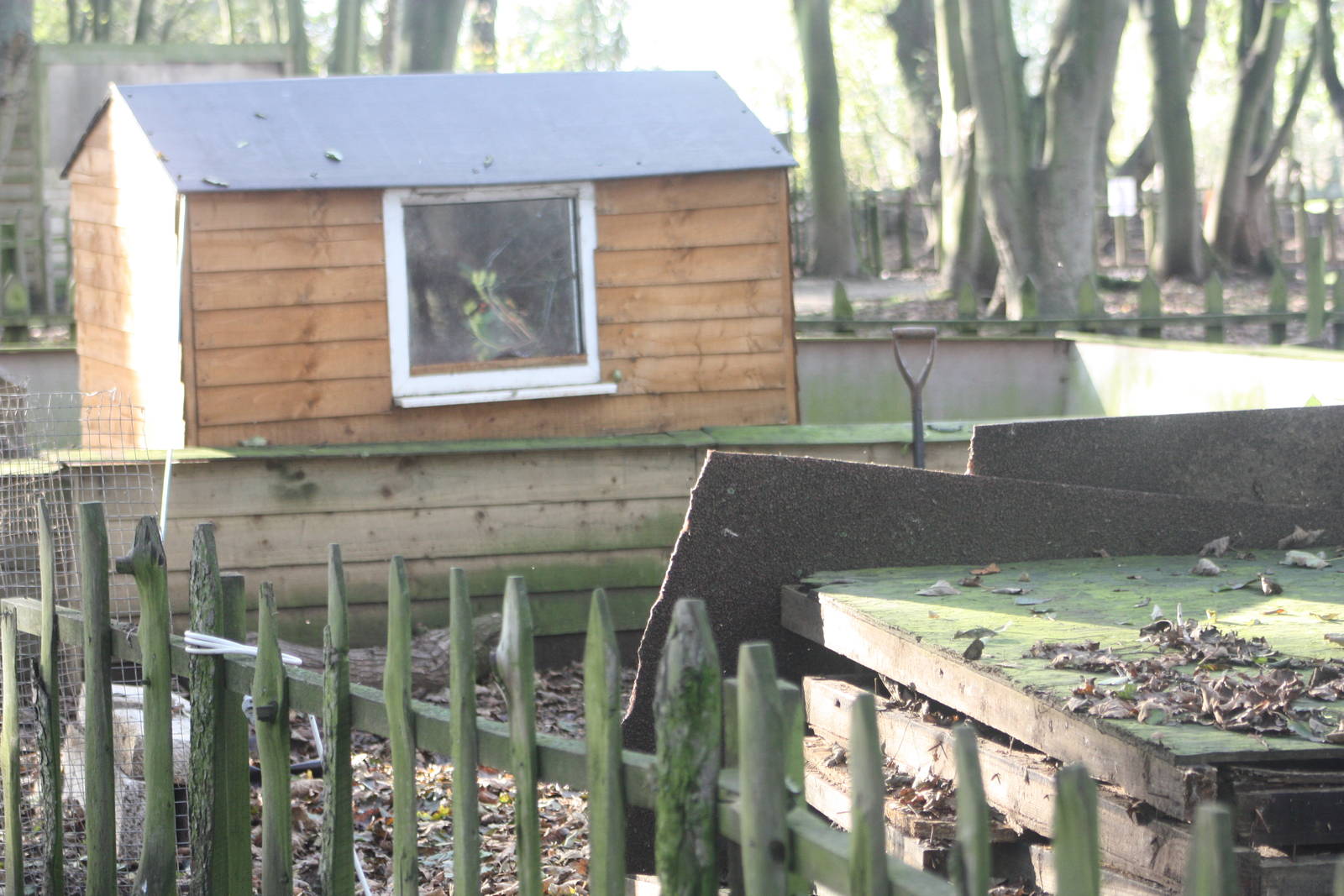 Meerkat exhibit under renovation, 29th October 2014
