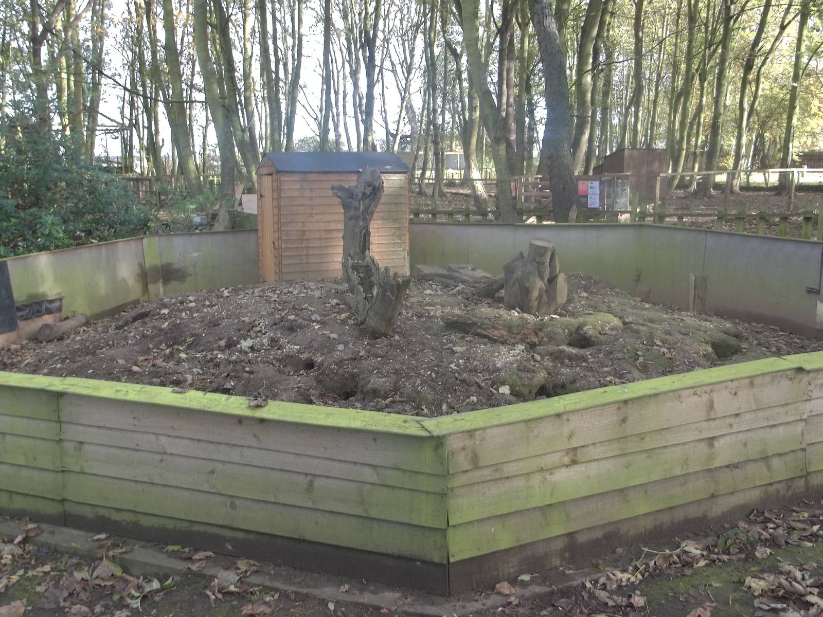 Meerkat exhibit under renovation, 29th October 2014