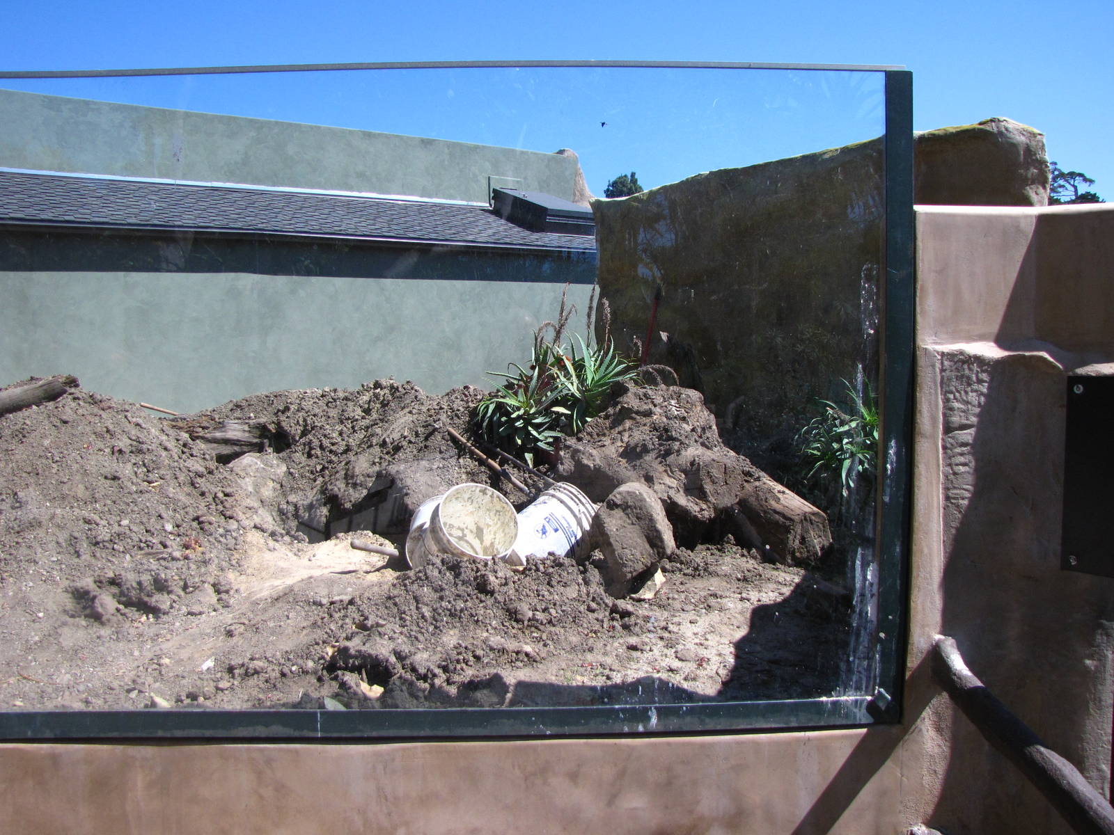 Meerkat Exhibit Under Renovation