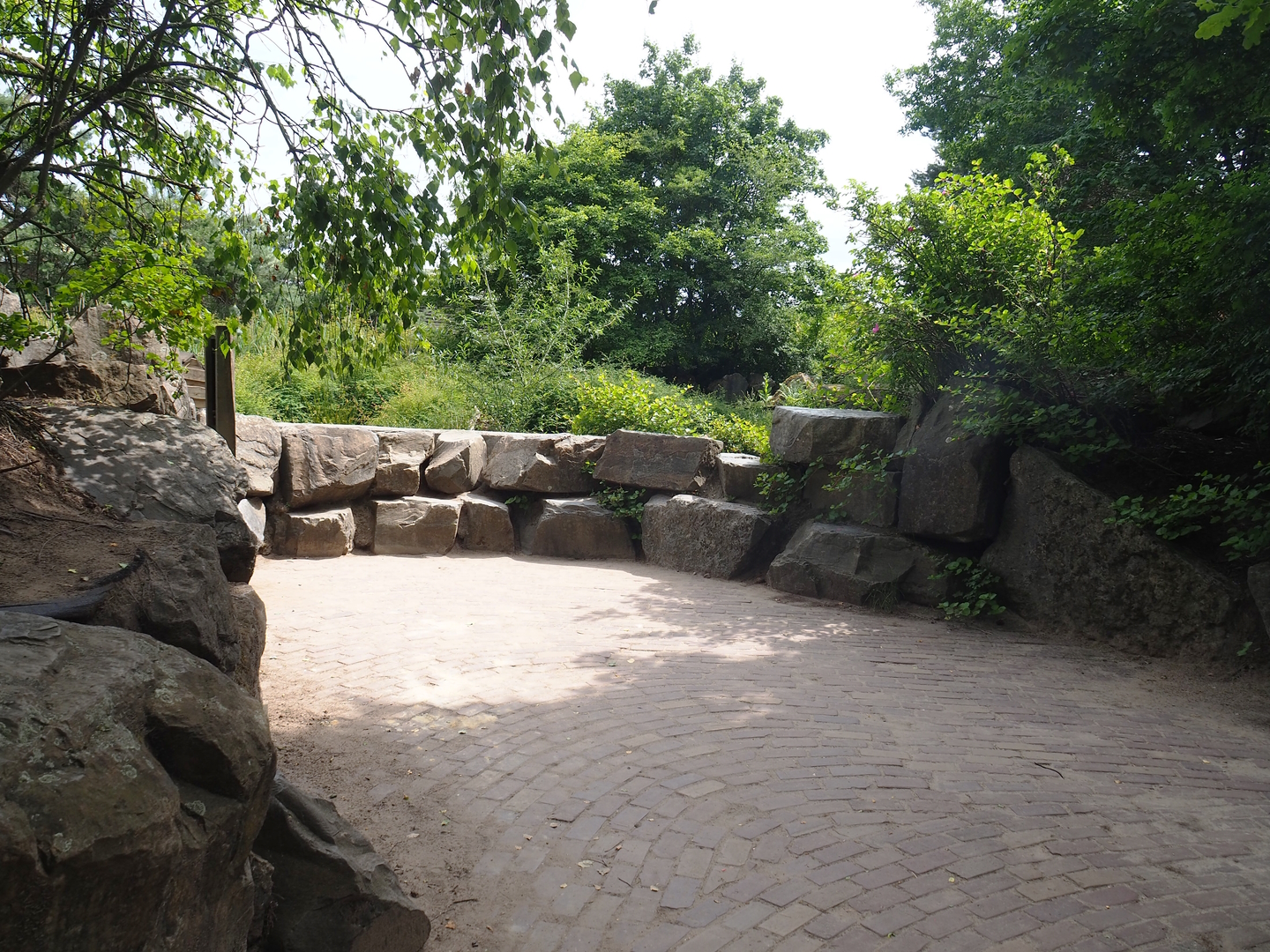 Meerkat exhibit viewing area, 2022-06-12