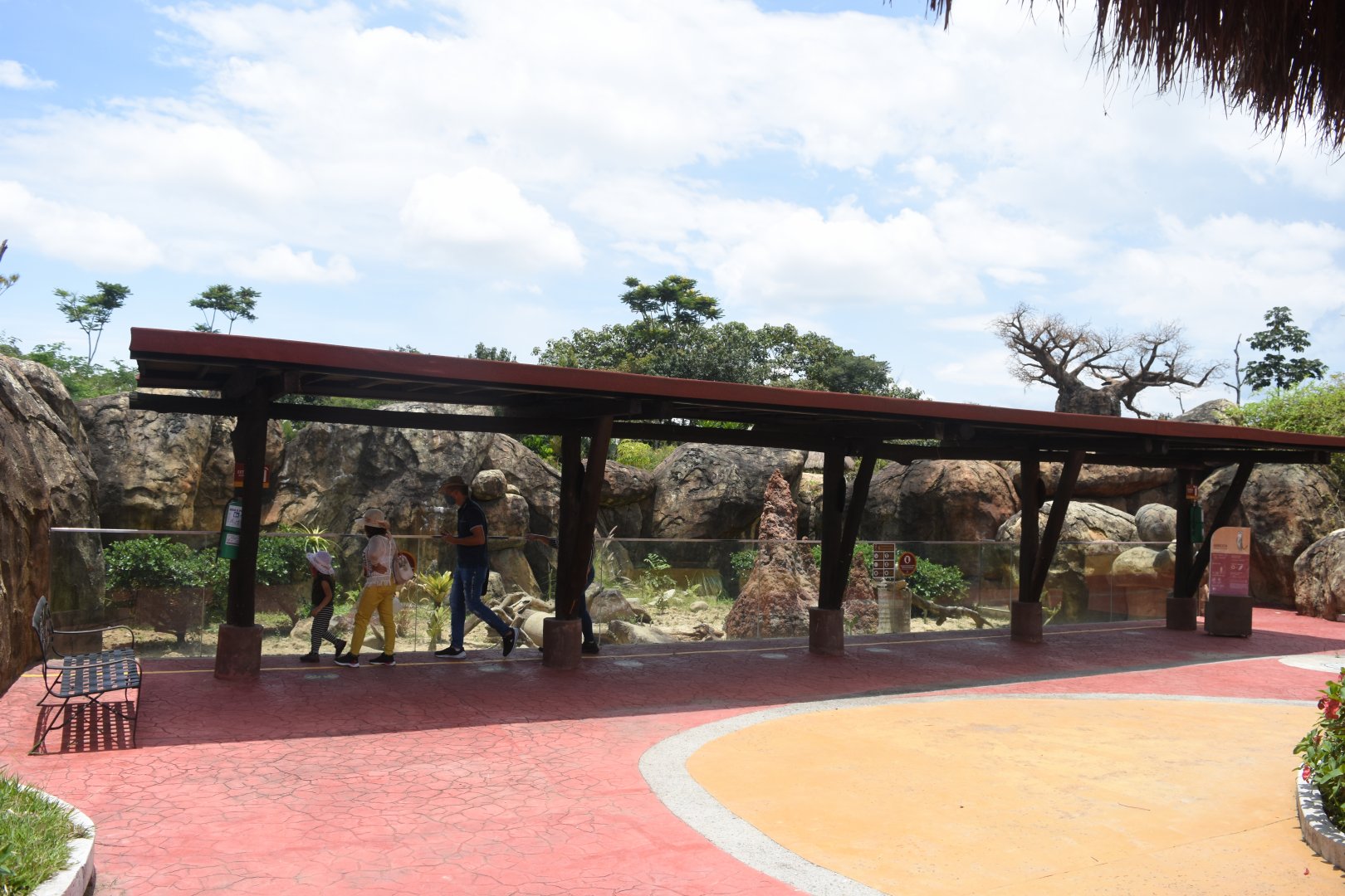 Meerkat exhibit viewing deck