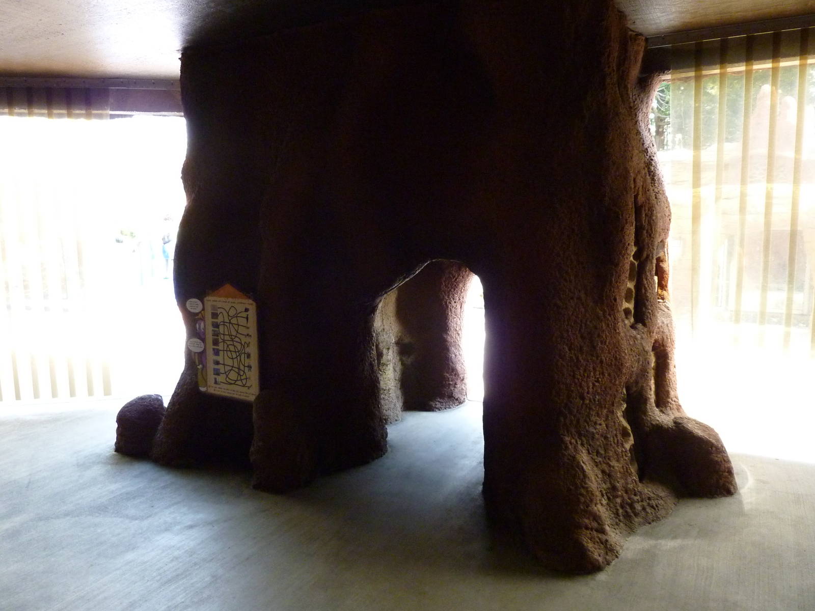 Meerkat Exhibit - Viewing Shelter