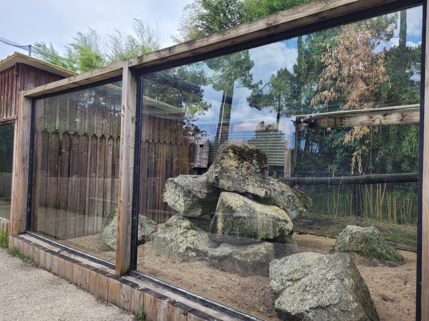 Meerkat exhibit -Zoo du bassin d'Arcachon (2024)