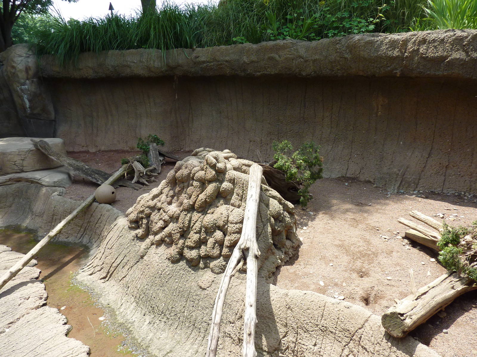 Meerkat Exhibit