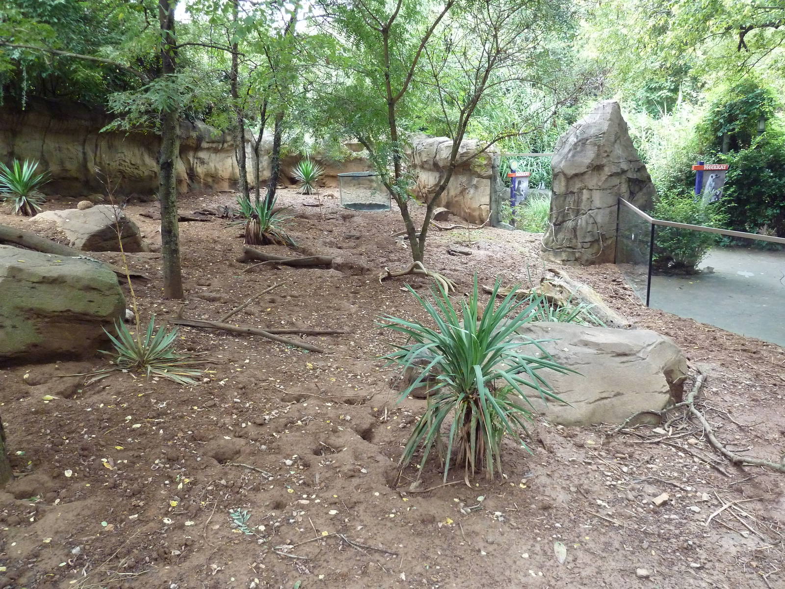 Meerkat Exhibit