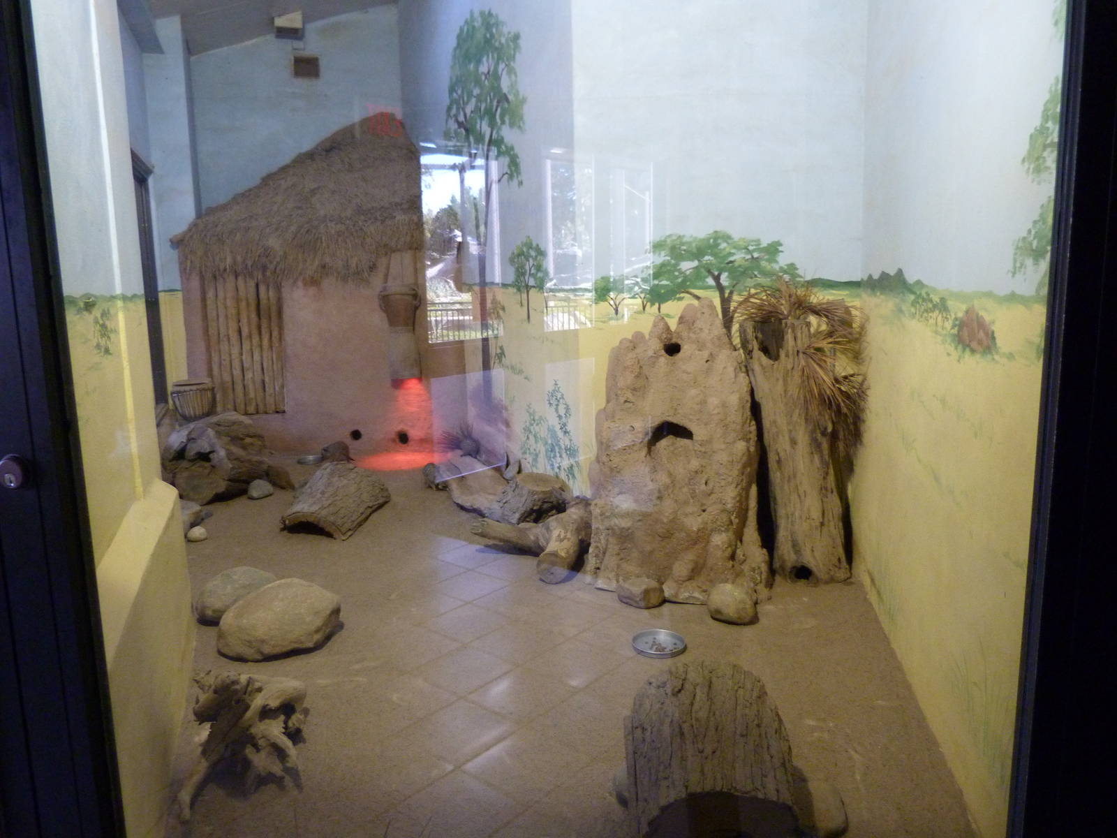 Meerkat Exhibit