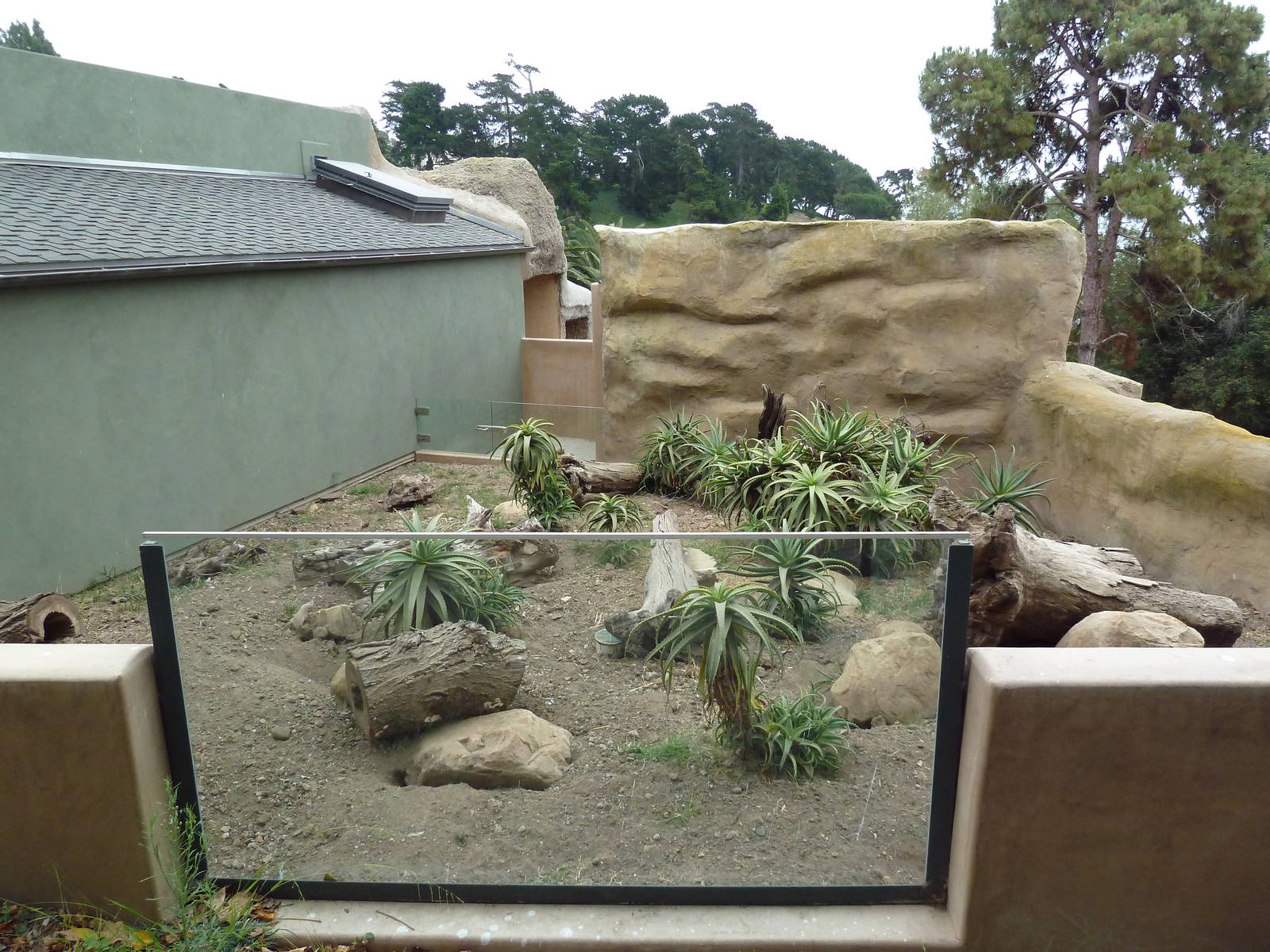 Meerkat Exhibit