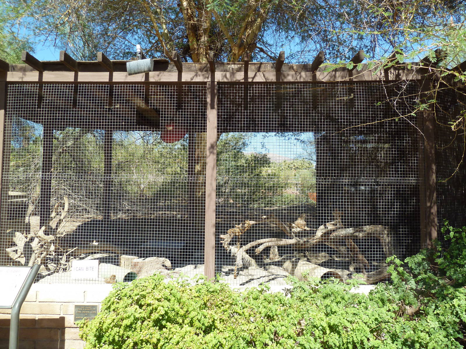 Meerkat Exhibit