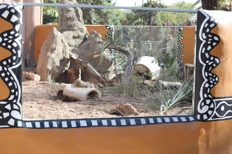 meerkat exhibit