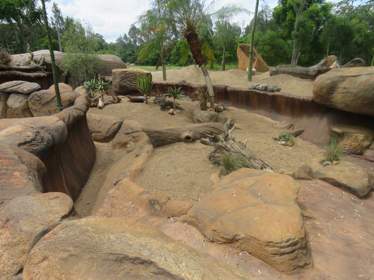 Meerkat Exhibit