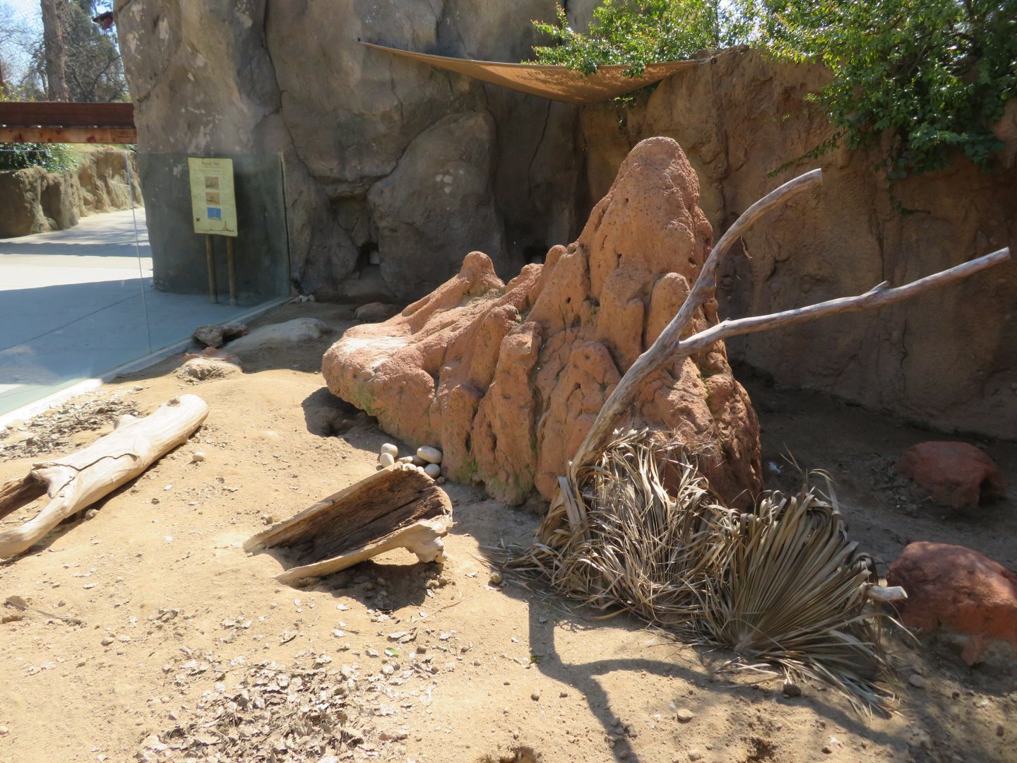 Meerkat Exhibit