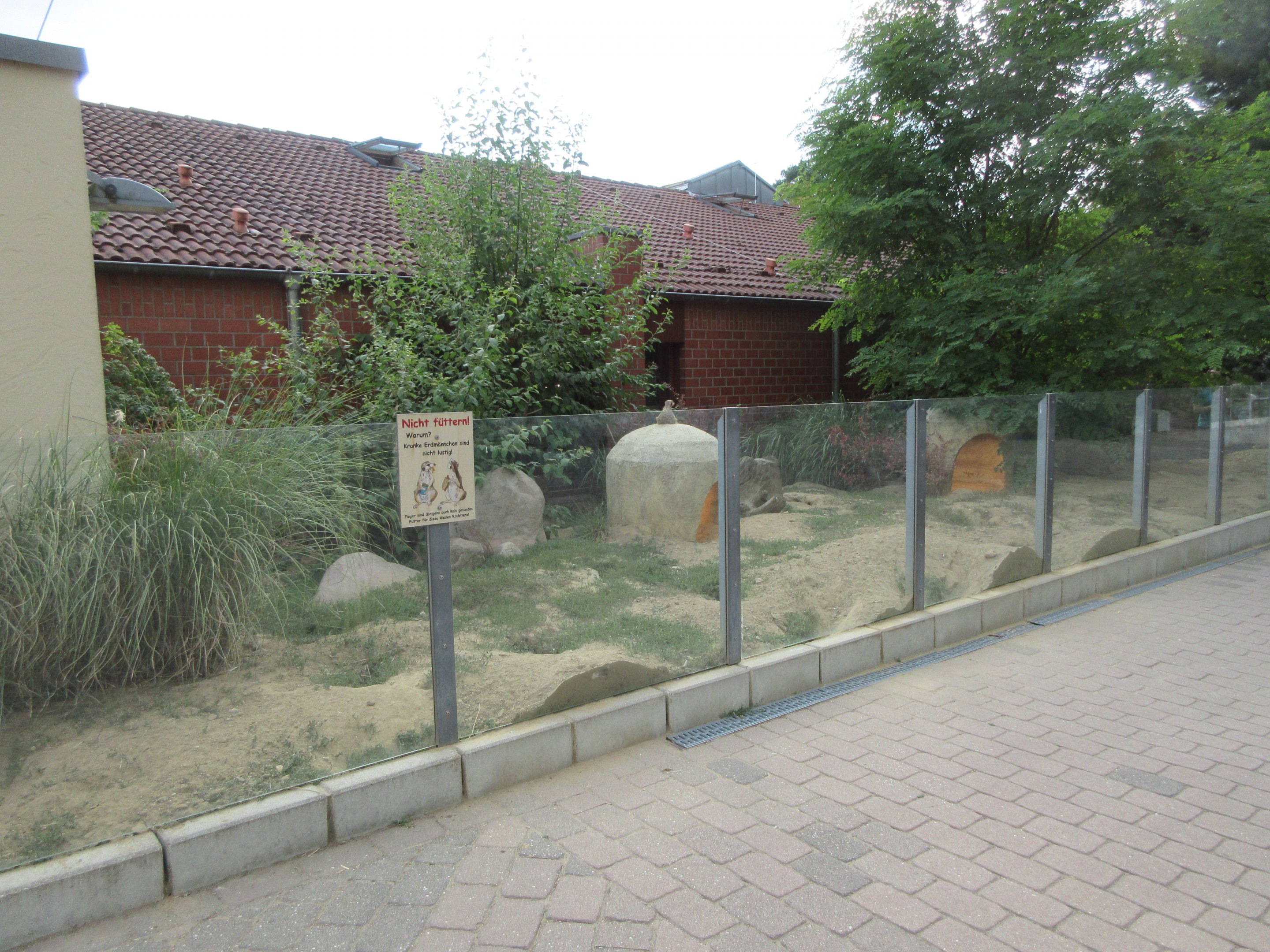 Meerkat Exhibit