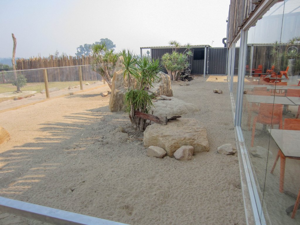 Meerkat Exhibit