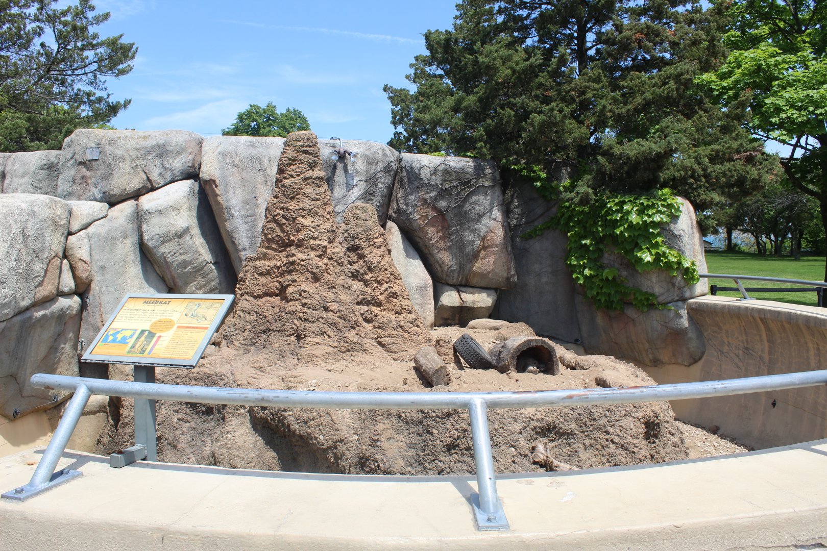 Meerkat Exhibit