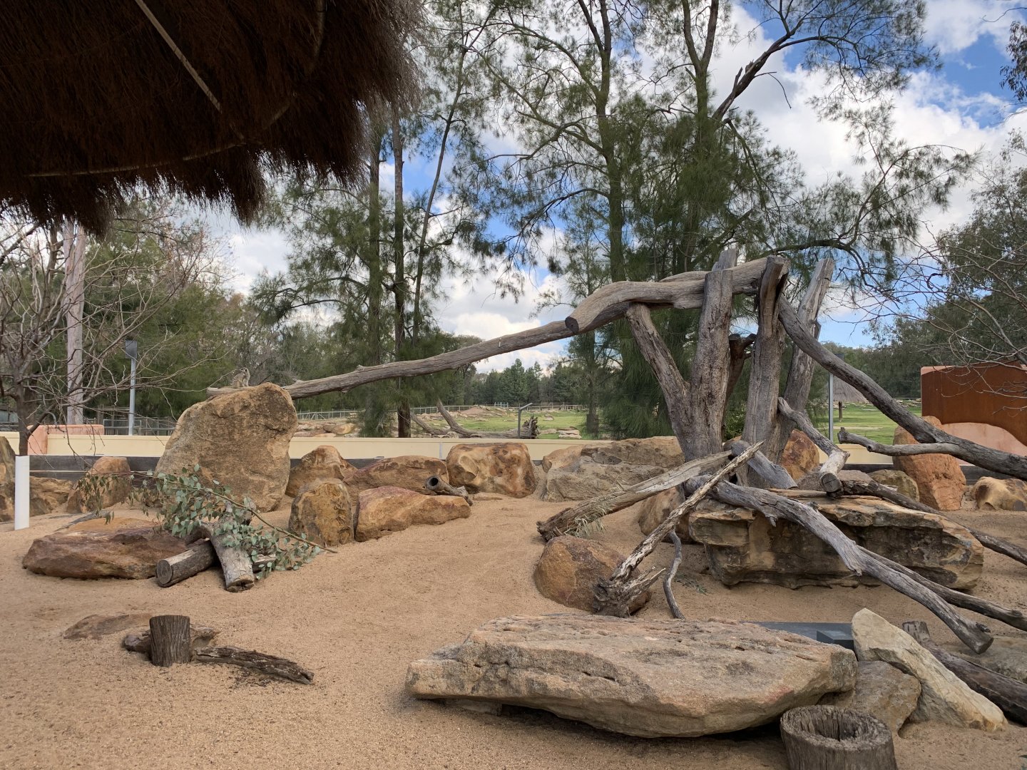 Meerkat Exhibit