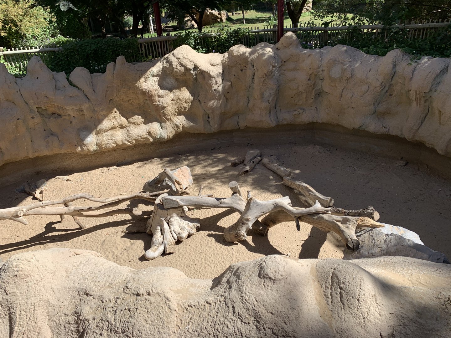 Meerkat exhibit