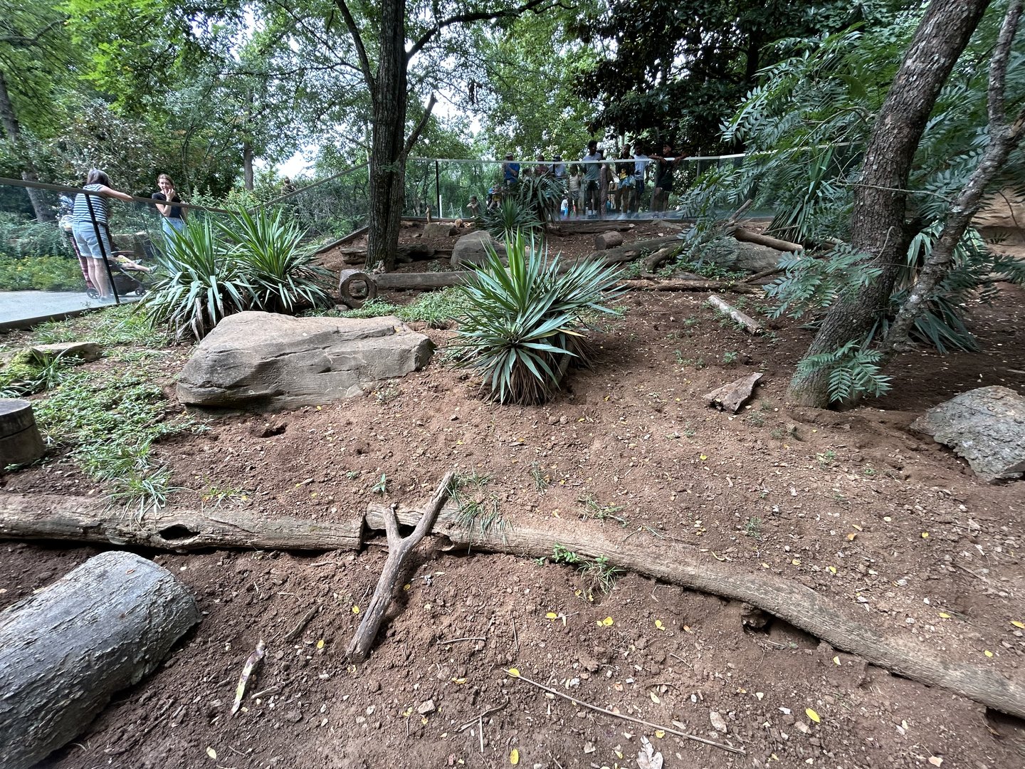 Meerkat Exhibit