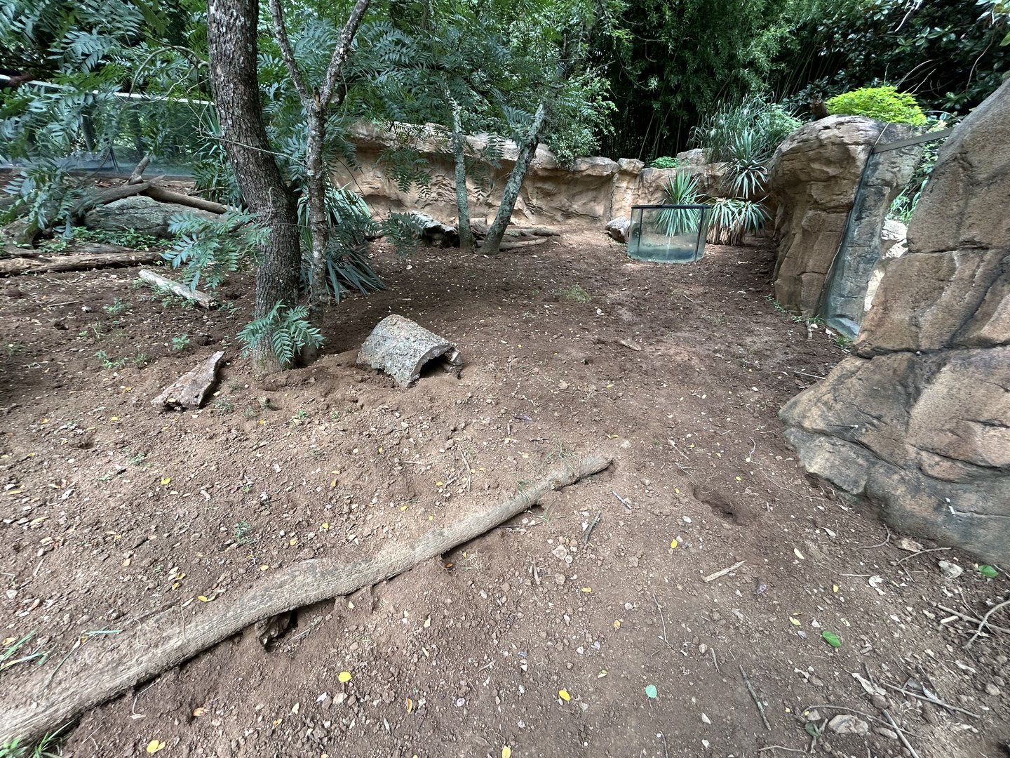 Meerkat Exhibit