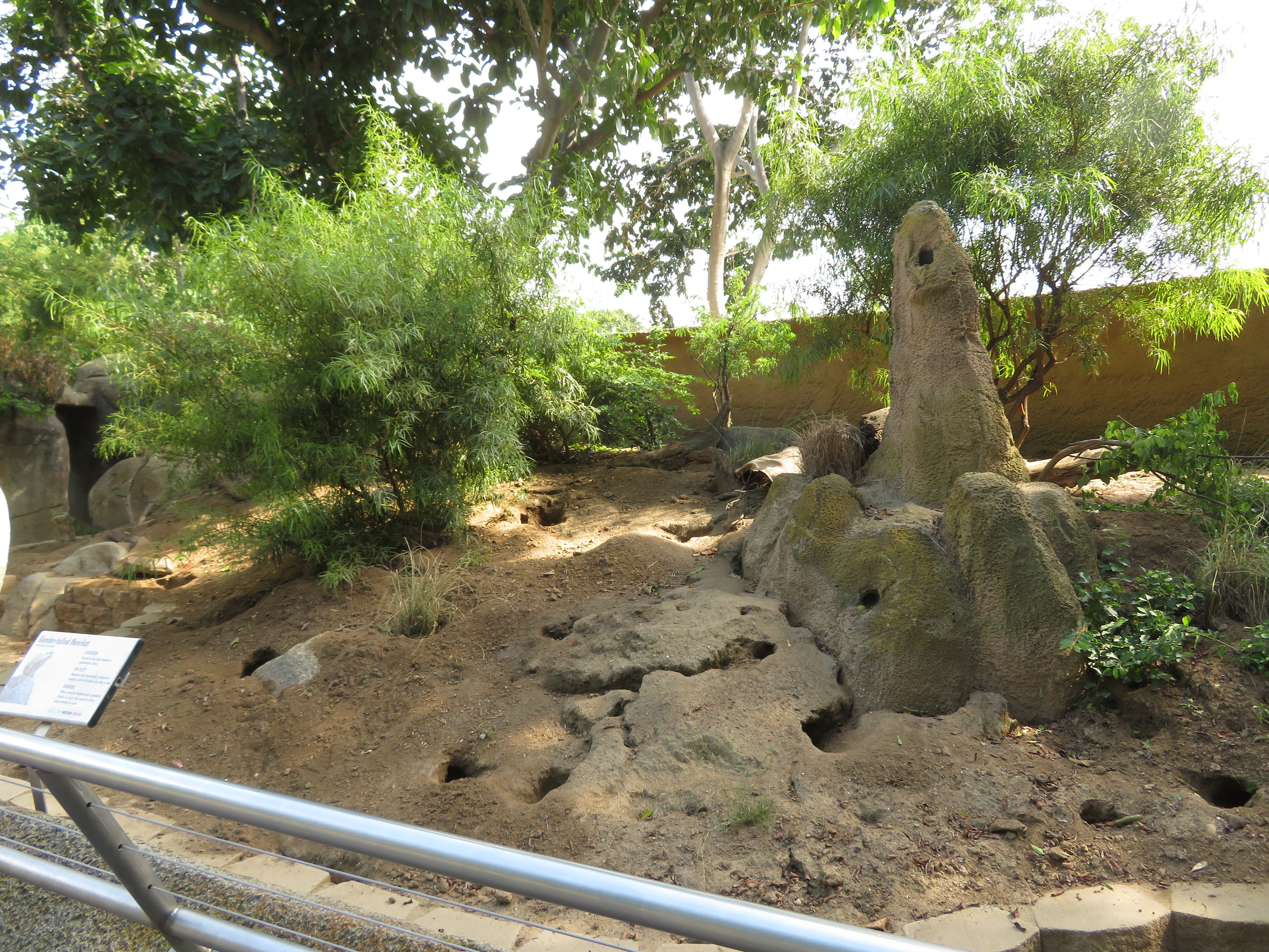 Meerkat Exhibit