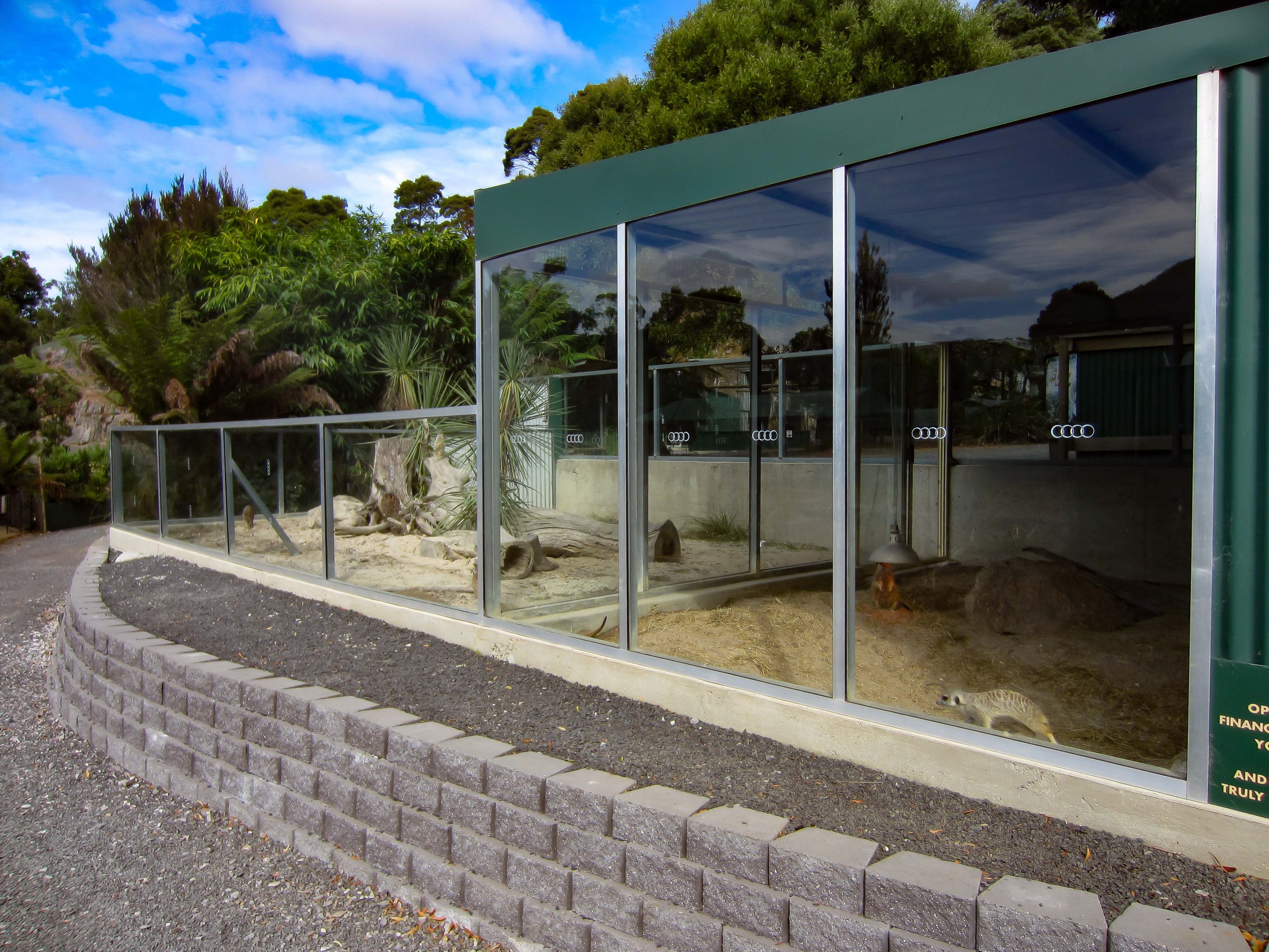 Meerkat exhibit