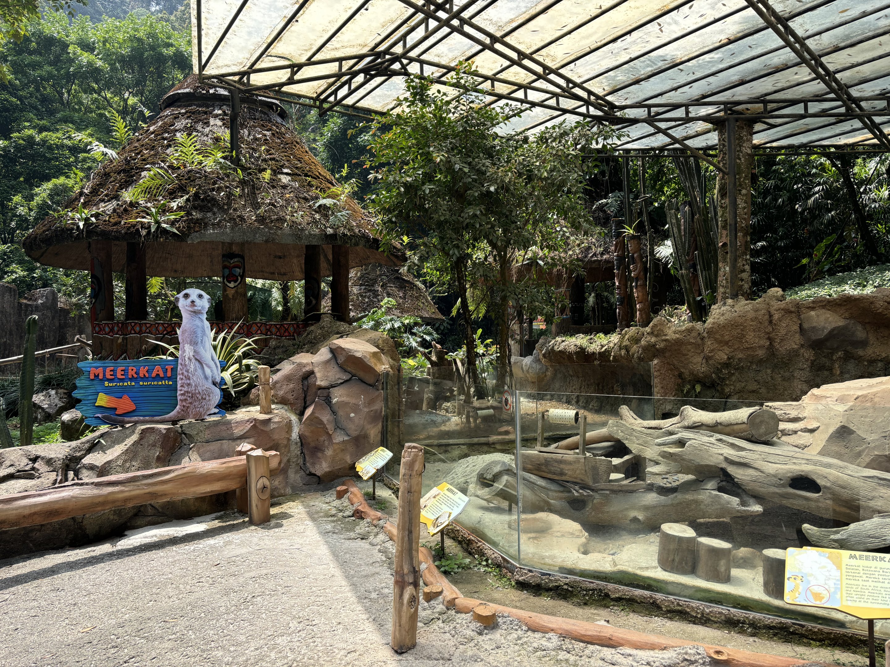 Meerkat Exhibit