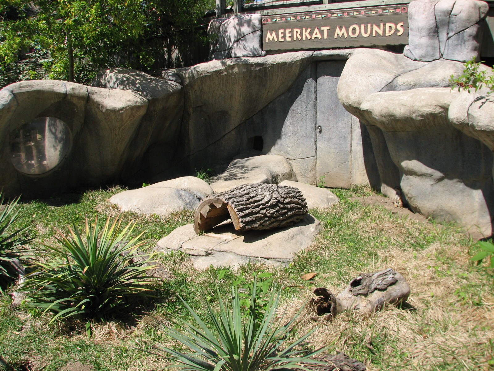Meerkat Exhibit