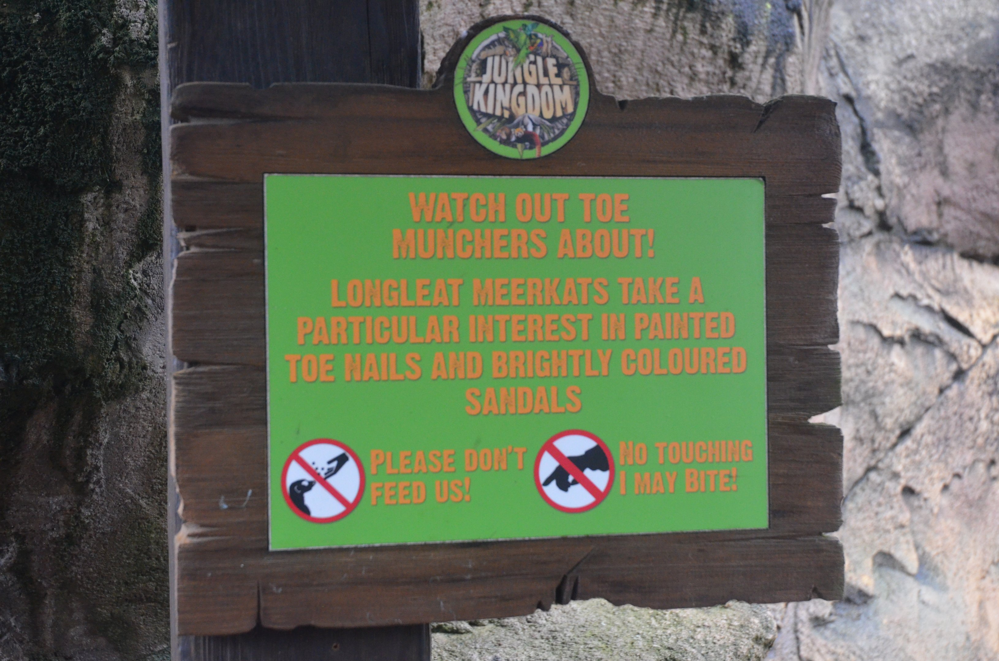 Meerkat Foot-eating Warning at Longleat, 03/11/19
