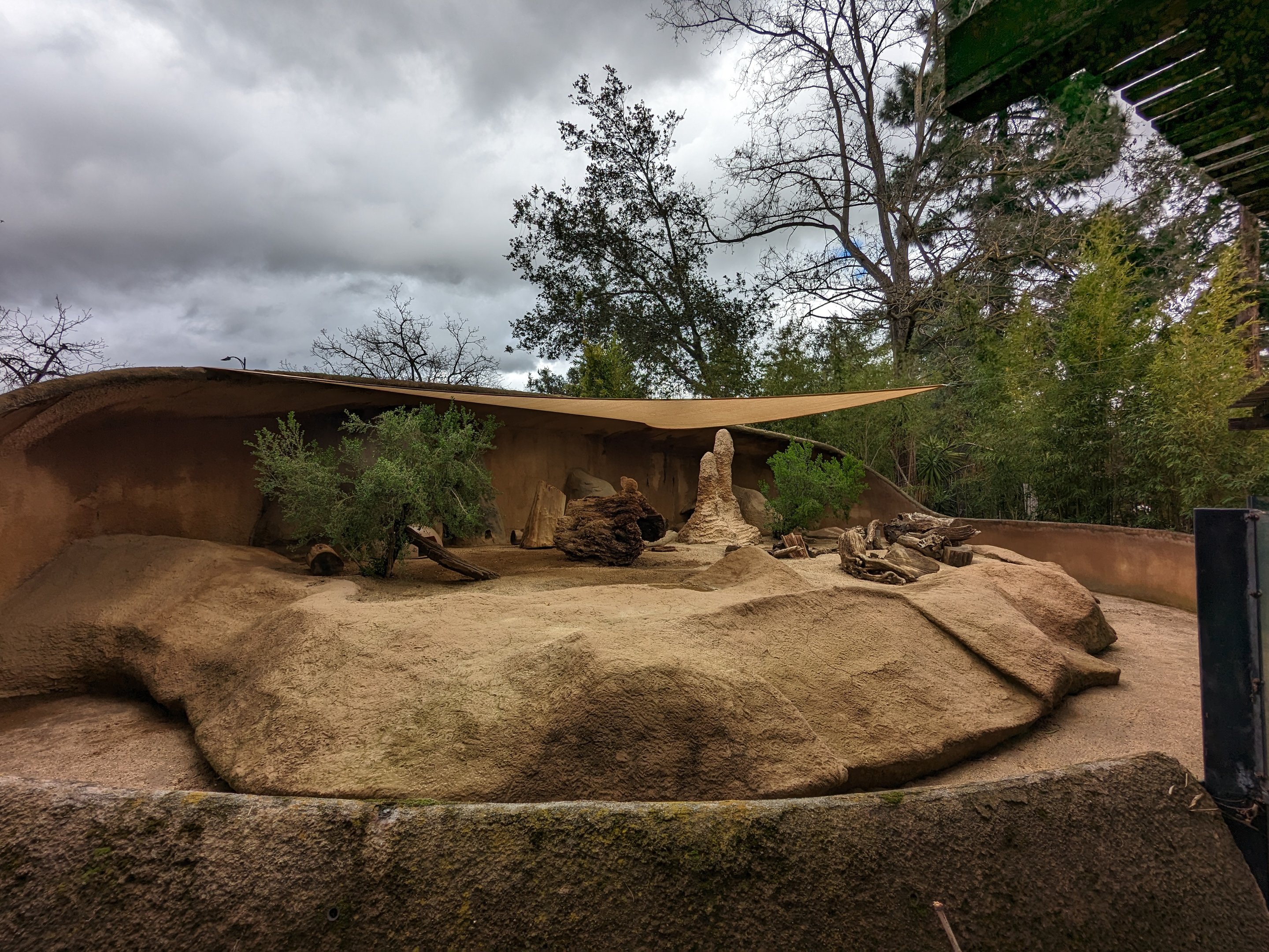 Meerkat habitat