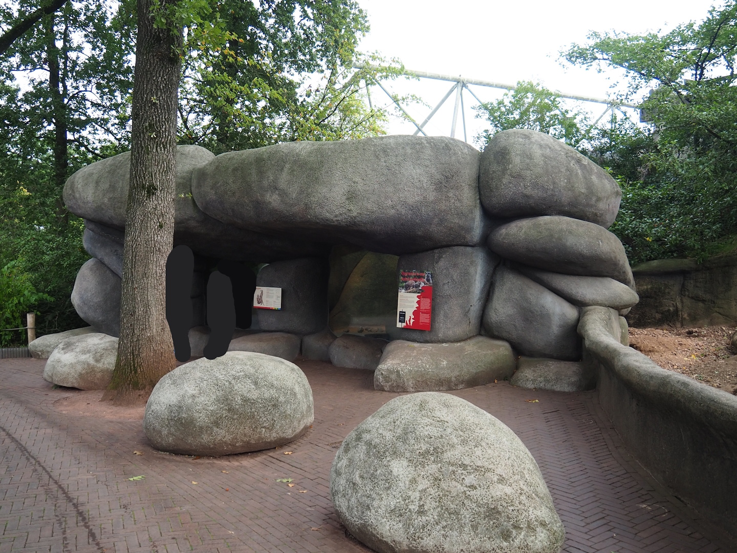 Meerkat house, 2023-10-07