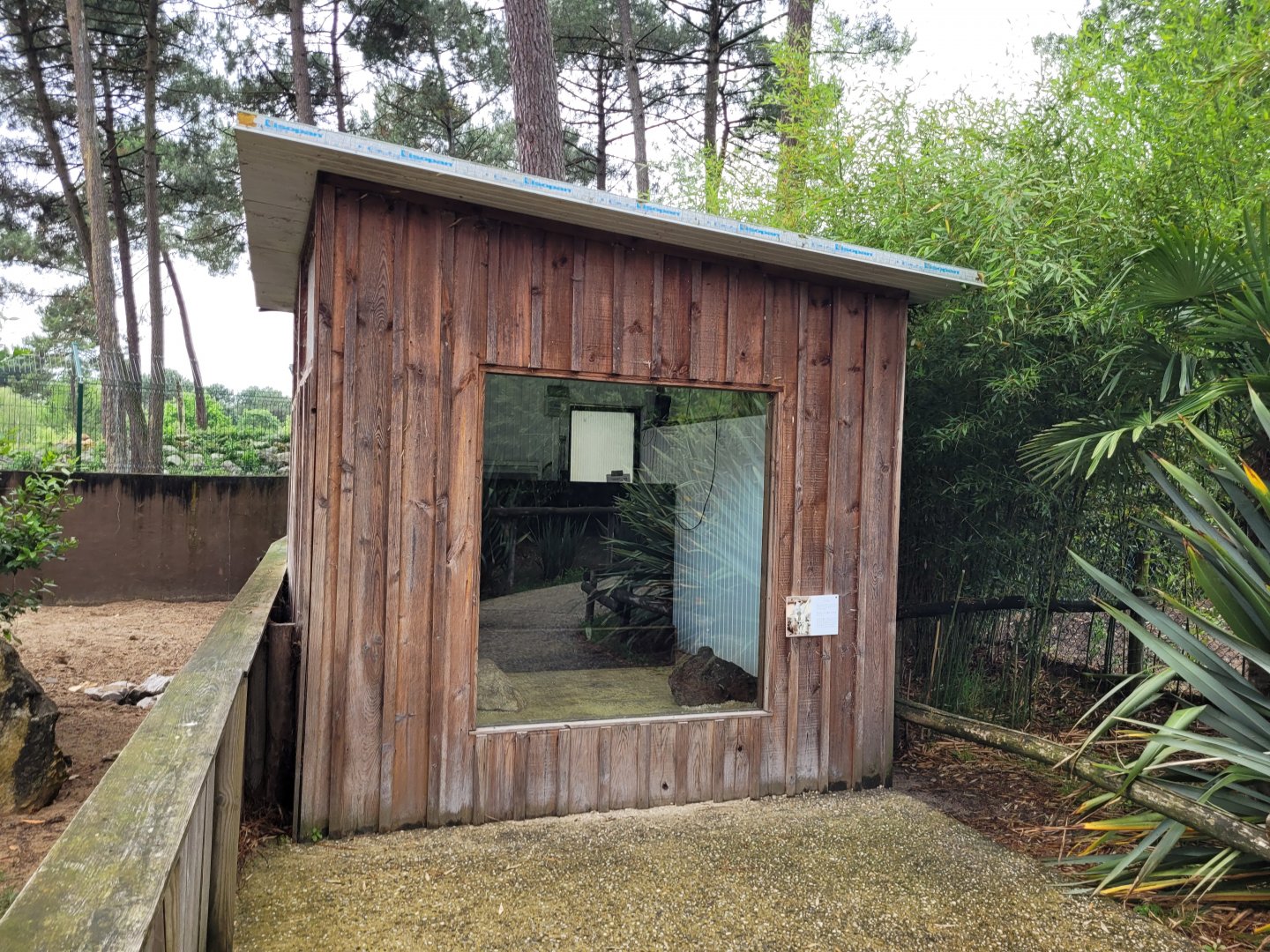 Meerkat house -Zoo du bassin d'Arcachon (2024)