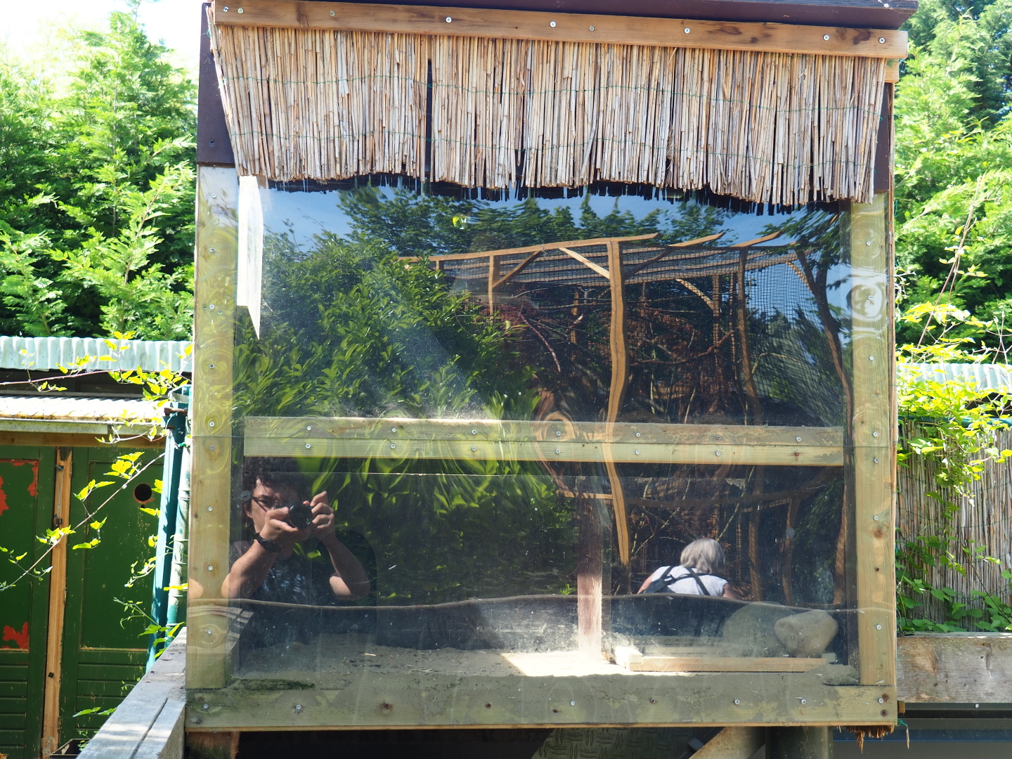 Meerkat hut, 2019-06-01