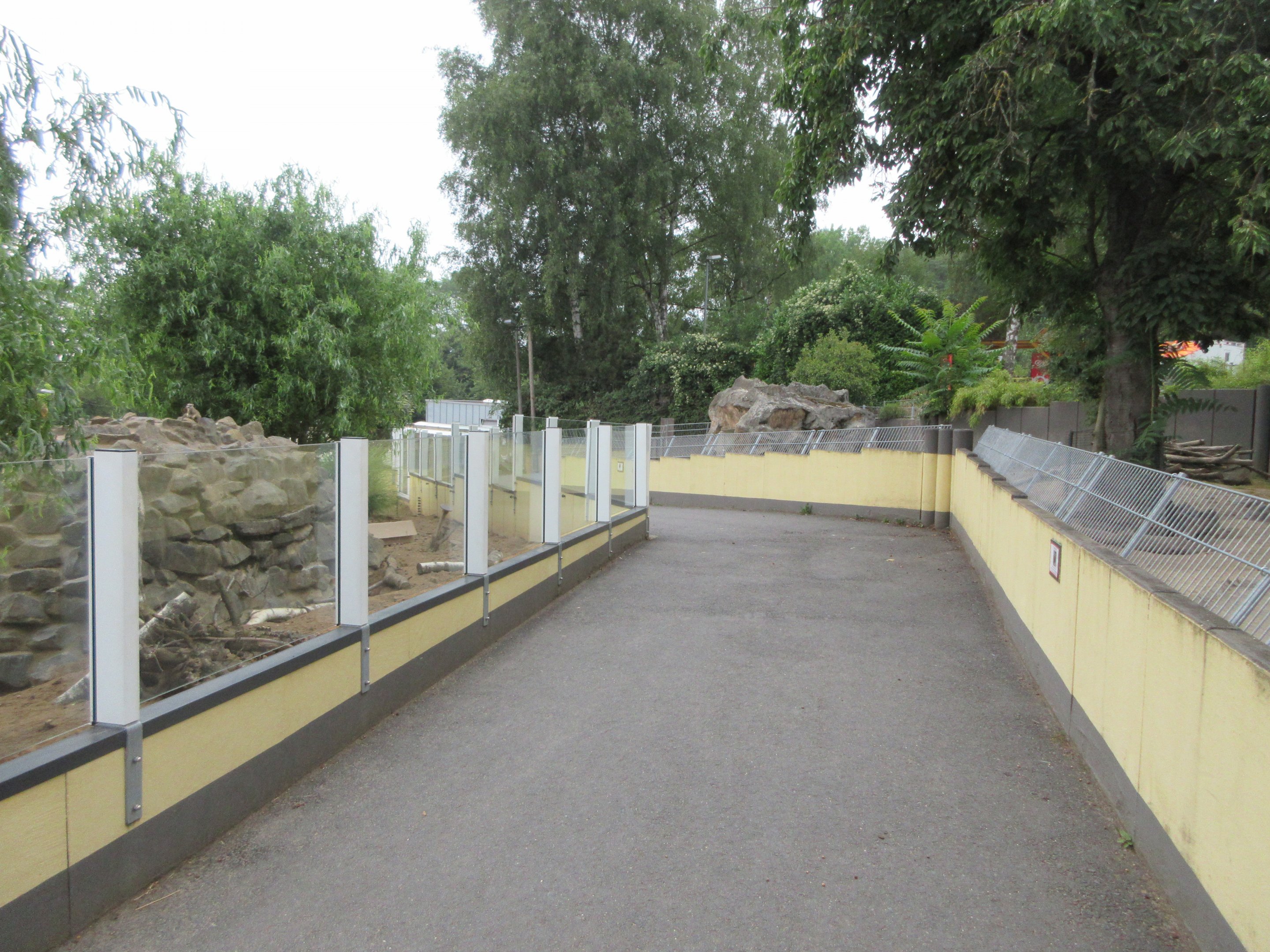 Meerkat + Indian Crested Porcupine Exhibits