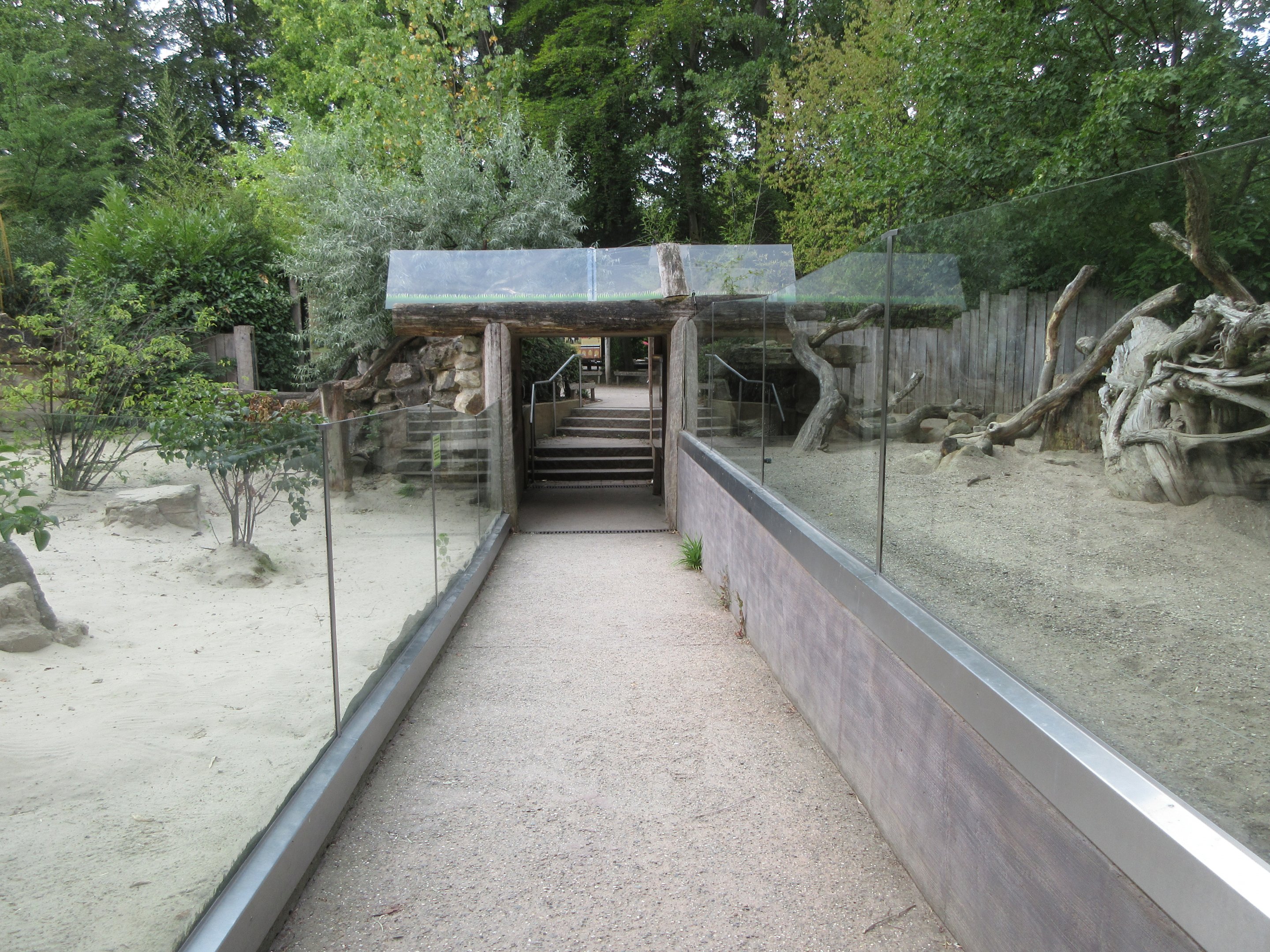 Meerkat + Indian Crested Porcupine Exhibits