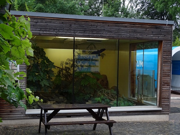 Meerkat indoor enclosure (07/22)