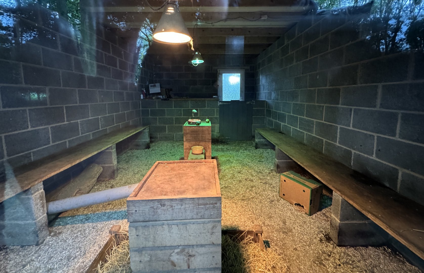 Meerkat Indoor Enclosure at Bridlington Animal Park (July 2024)