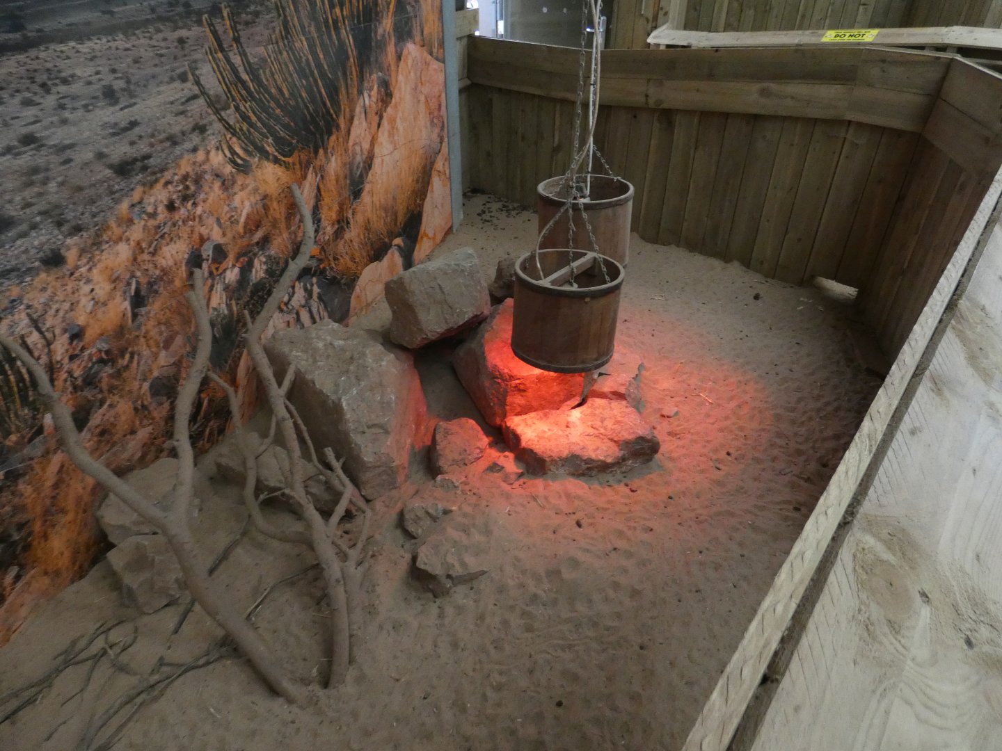 Meerkat indoor enclosure in Africa House (2)