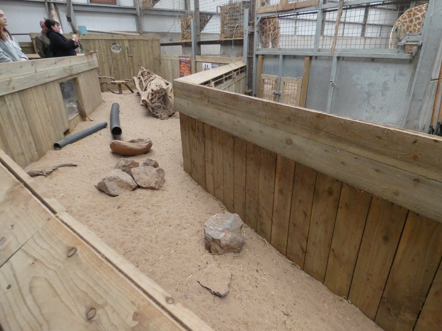 Meerkat indoor enclosure in Africa House