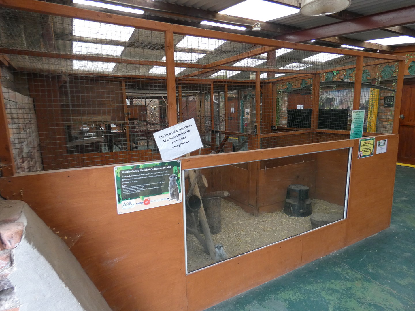 Meerkat indoor enclosure in Tropical house