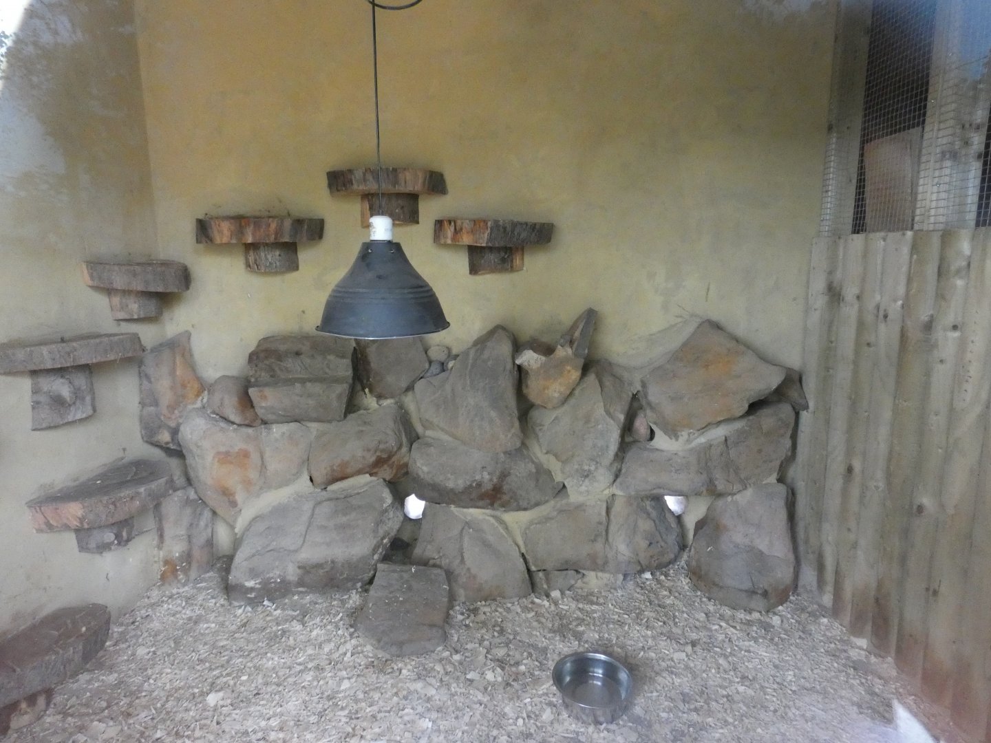 Meerkat indoor enclosure