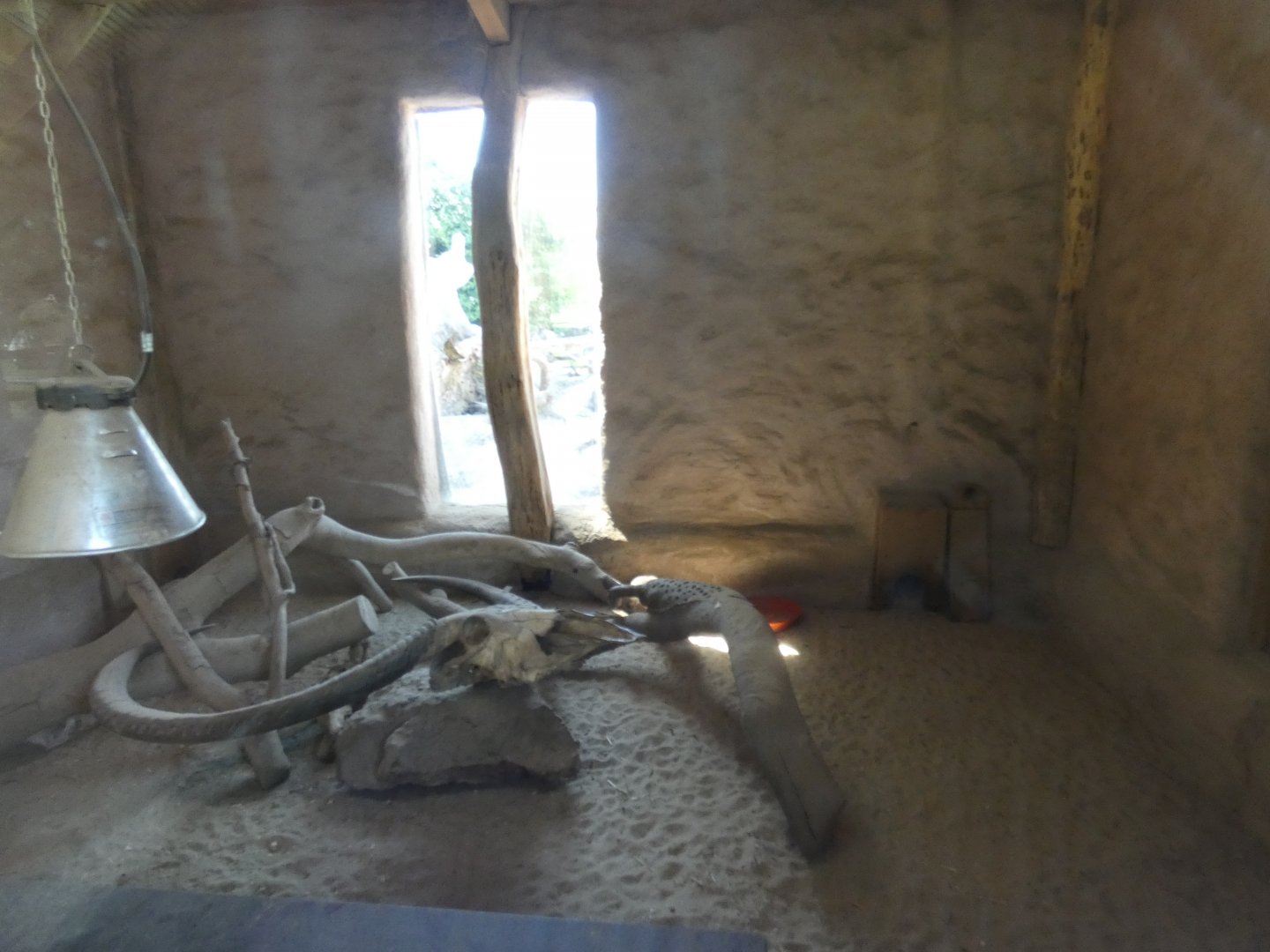 Meerkat indoor enclosure