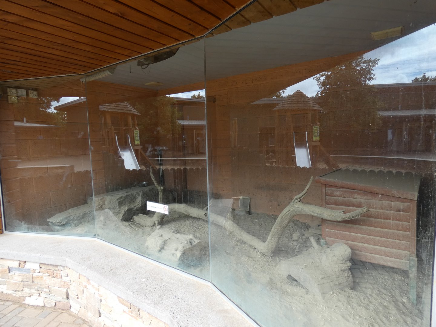 Meerkat indoor enclosure