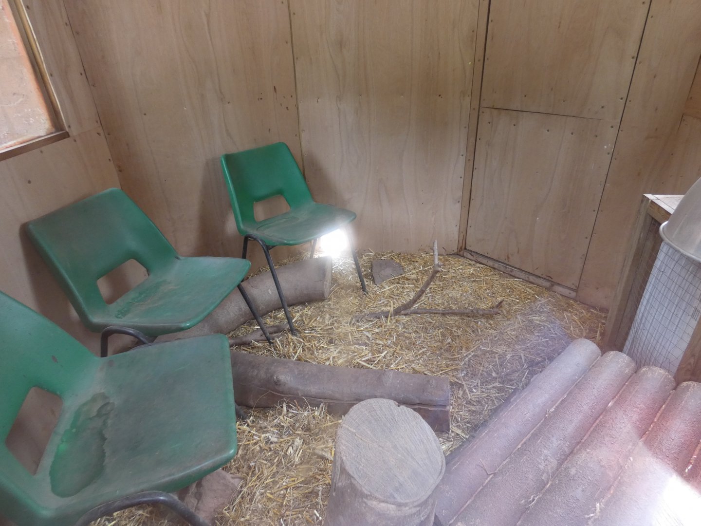 Meerkat indoor enclosure