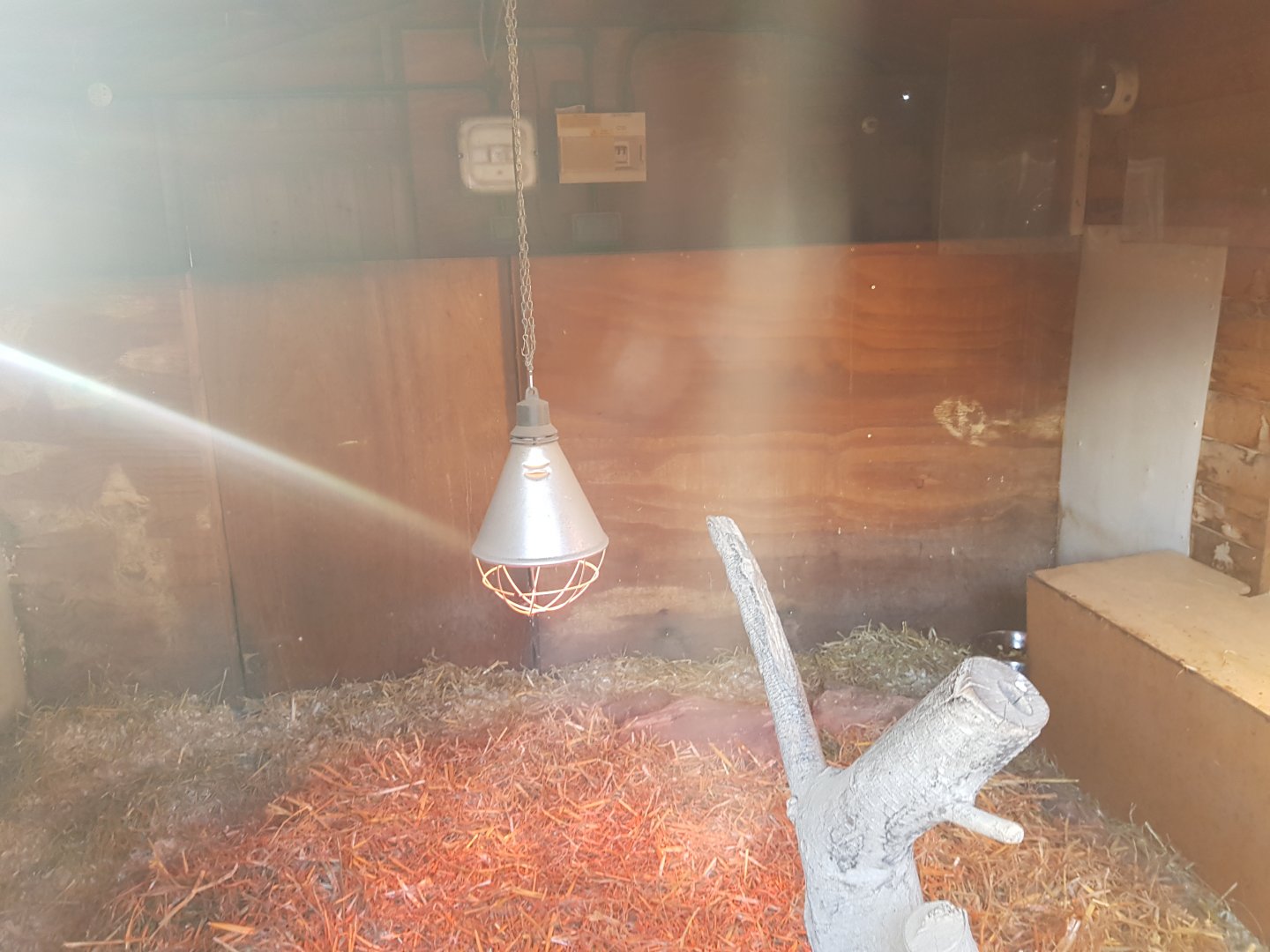 Meerkat Indoor Enclosure