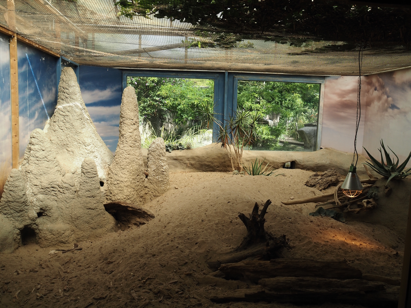 Meerkat indoor exhibit, 2024-06-30