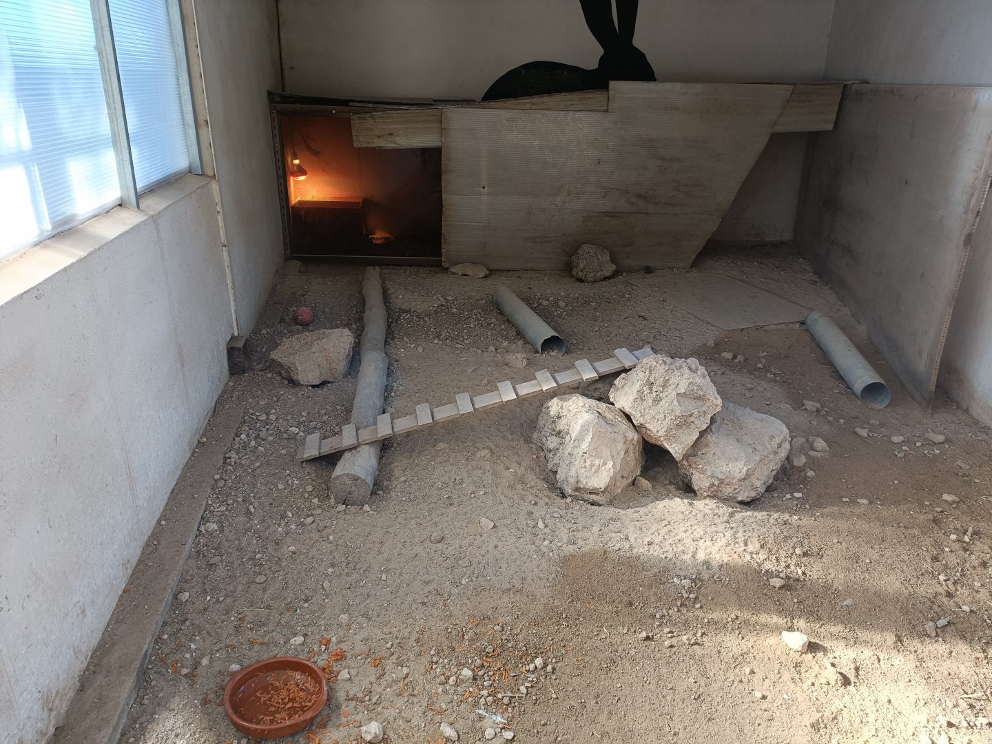 Meerkat indoor exhibit - Bioparque La Rocha