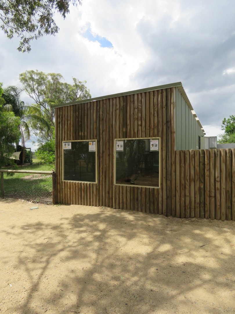 Meerkat Indoor Exhibit