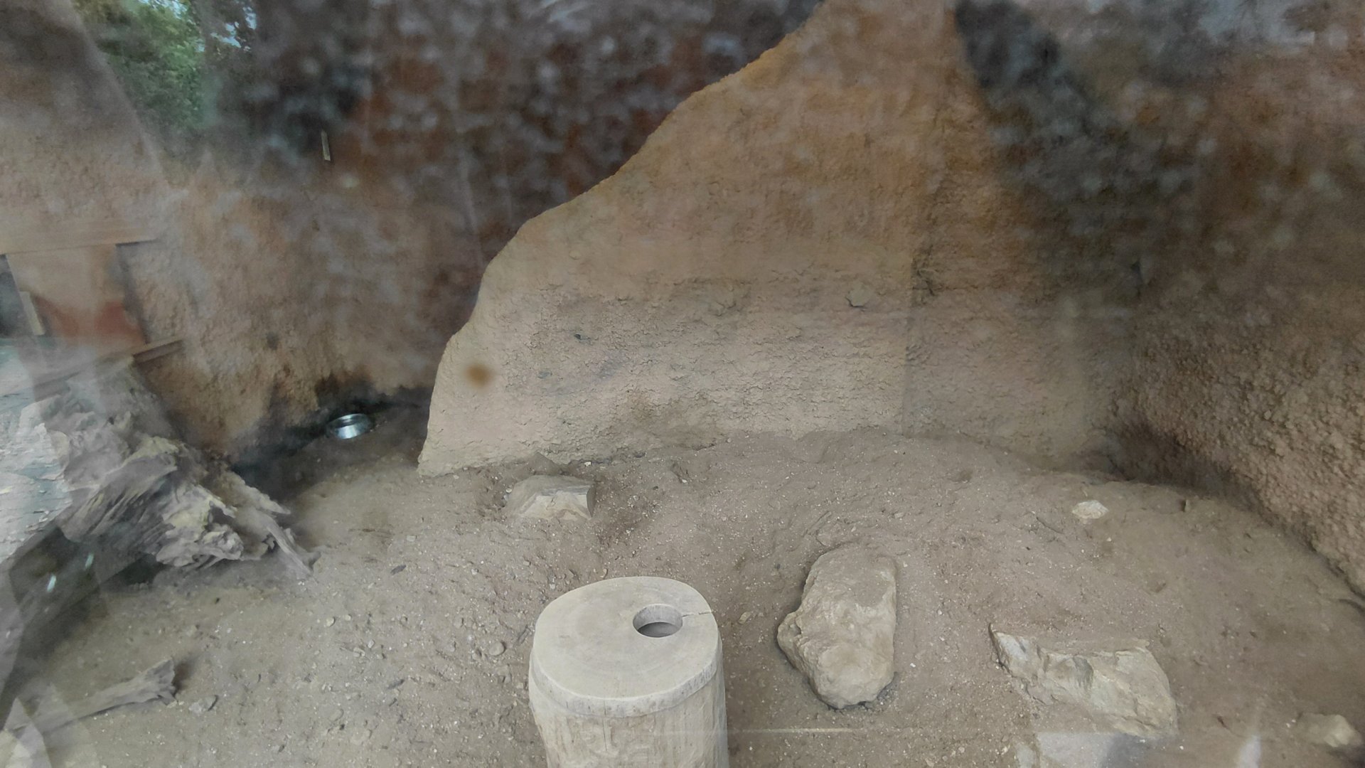 Meerkat indoor exhibit