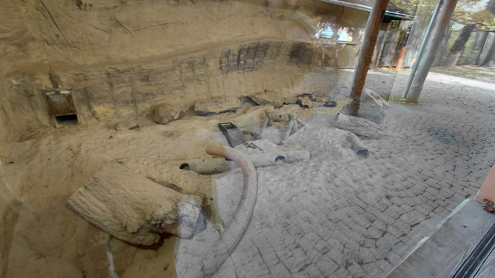 Meerkat indoor exhibit