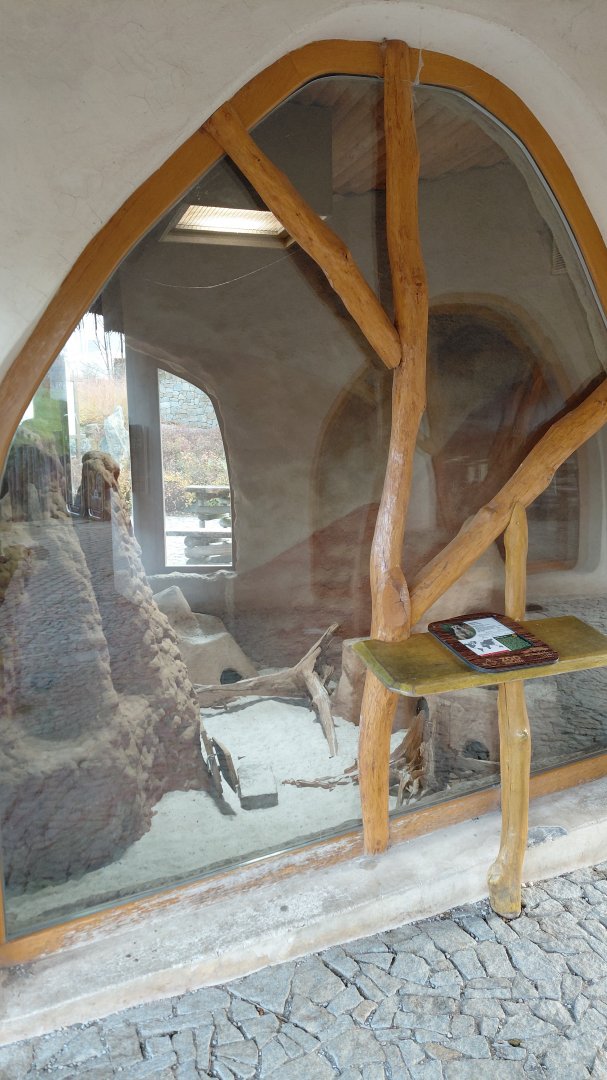 Meerkat indoor exhibit